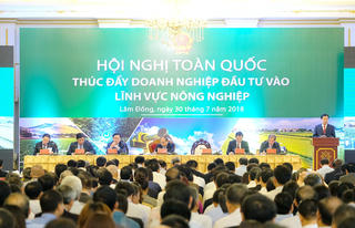 Cần nhiều giải pháp để thúc đẩy DN đầu tư vào nông nghiệp