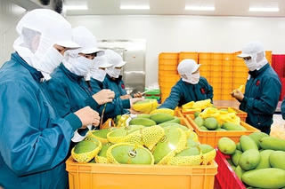 Xuất nhập khẩu nông, lâm, thủy sản ước đạt gần 46 tỷ USD