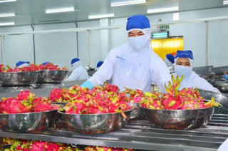 Khi nông sản Việt tiến vào EU