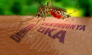 Colombia có hơn 20.000 trường hợp nhiễm Zika