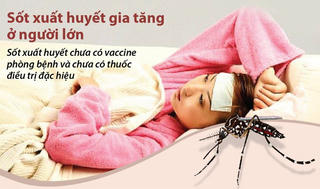 Số ca mắc sốt xuất huyết đang gia tăng ở người lớn