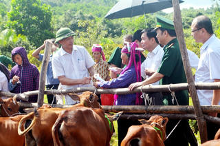 Tuyên Quang: Giúp đỡ hộ nghèo theo từng nhóm