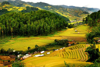 Nguyên sơ Pù Luông