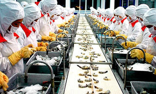 Xuất khẩu tôm sang Mỹ sẽ khởi sắc vào cuối năm