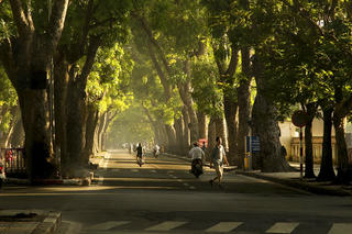 Hà Nội lọt tốp 10 thành phố tăng trưởng du lịch nhanh nhất thế giới