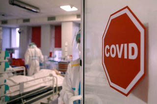 Quá sớm để coi Covid-19 là bệnh đặc hữu