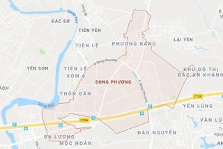 Yêu cầu làm rõ các vi phạm về quản lý đất đai tại xã Song Phương