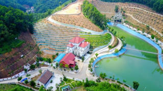 Vi phạm của ông Phạm Sỹ Quý đến mức phải thi hành kỷ luật nghiêm minh