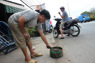 Đinh tặc lại hoành hành