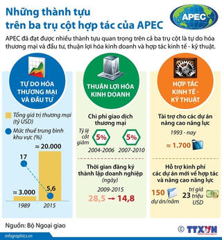 [Infographics] Những thành tựu trên ba trụ cột hợp tác của APEC