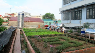Tái sử dụng nước mưa trong đô thị