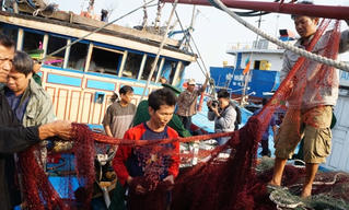Thêm tàu cá bị tàu Trung Quốc tấn công, cướp phá