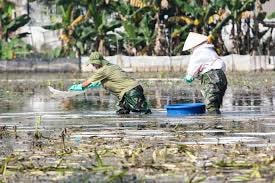 Sự cố tràn dầu tại Thanh Hóa: Phải mất cả năm mới xử lý xong ô nhiễm