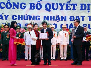 Hậu lùm xùm xét giáo sư: Chấn chỉnh hội đồng và các trường đại học