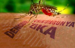 Việt Nam không còn địa phương nào ghi nhận dịch bệnh do virus Zika