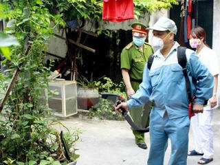 TP Hồ Chí Minh: Dịch bệnh do virus Zika giảm