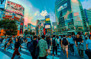 'Bỏ phố về quê' - Trào lưu mới của người dân Thủ đô Tokyo