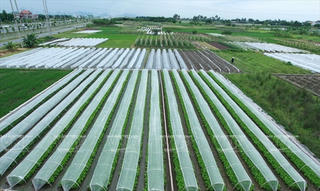Huyện Hoài Đức đạt chuẩn huyện nông thôn mới