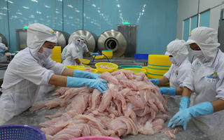 Xuất khẩu sang thị trường Mỹ: Doanh nghiệp gặp nhiều chông gai
