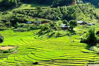 Tây Giang (Quảng Nam): 310 tỷ đồng làm đường vào trung tâm xã Axan