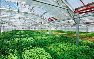 Trong tháng 4, sẽ có hướng dẫn về gói 100.000 tỷ đồng