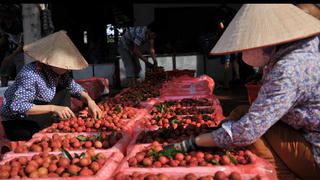 Tìm 'cơ' trong 'nguy'