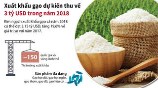 Xuất khẩu gạo dự kiến thu về 3 tỷ USD trong năm 2018