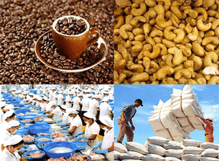 Tăng cường phối hợp thúc đẩy sản xuất, tiêu thụ nông - lâm - thủy sản