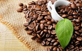 Ngành cà phê và nỗi lo tụt hậu