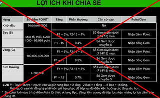 Bộ Công an tìm người bị hại trong vụ huy động vốn đa cấp của Công ty Hoàng Long