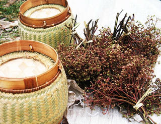 Đệ nhất gia vị Tây Bắc