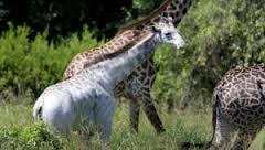 Công viên khoa học cho học sinh