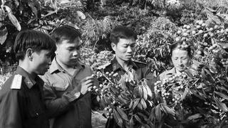 385 trí thức trẻ chưa được bố trí, tuyển dụng: Trách nhiệm thuộc về ai?