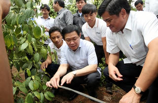 Gia Lai cần giải pháp khả thi thu hút vốn đầu tư