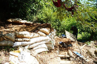 Môi trường hồ Phú Ninh bị tàn phá