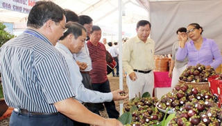 Nhà vườn làm du lịch