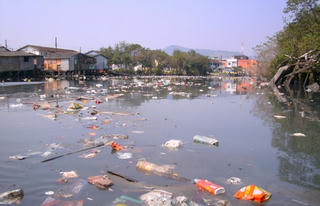 Ngăn ngừa ô nhiễm: Xác định rõ nguyên nhân