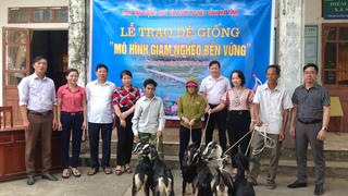 Thoát nghèo về tư tưởng