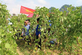 “Phá lệ” để giúp dân thoát nghèo