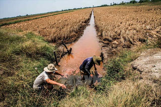 Giải pháp tổng thể