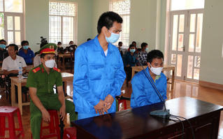 Quảng Ngãi: Bắn chết 5 cá thể voọc, 2 thanh niên lãnh 12 năm tù