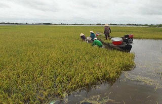 Ở đầu nguồn lũ Long An
