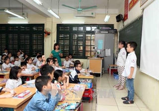 Sau khảo sát là gì?