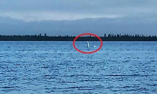 Sinh vật cổ dài giống quái vật hồ Loch Ness phát hiện ở Nga