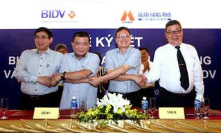 Câu chuyện sáp nhập và sức hút thông tin từ BIDV