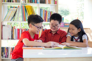 Đánh giá kết quả học tập bậc tiểu học: Việt Nam đứng đầu Đông Nam Á
