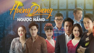 'Hướng dương ngược nắng'