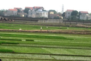 Quyết liệt kiểm kê đất đai