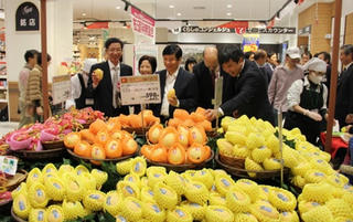 Xoài Việt Nam chính thức bán tại Nhật