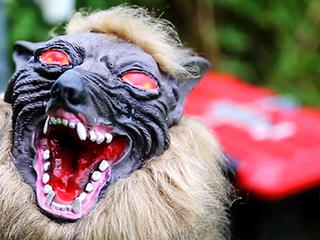 Sử dụng “robot quái vật” để bảo vệ mùa màng